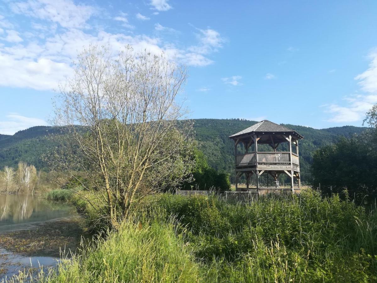 Ferienwohnung Resi Mit Traumhaftem Seepanorama Steindorf am Ossiacher See Ngoại thất bức ảnh