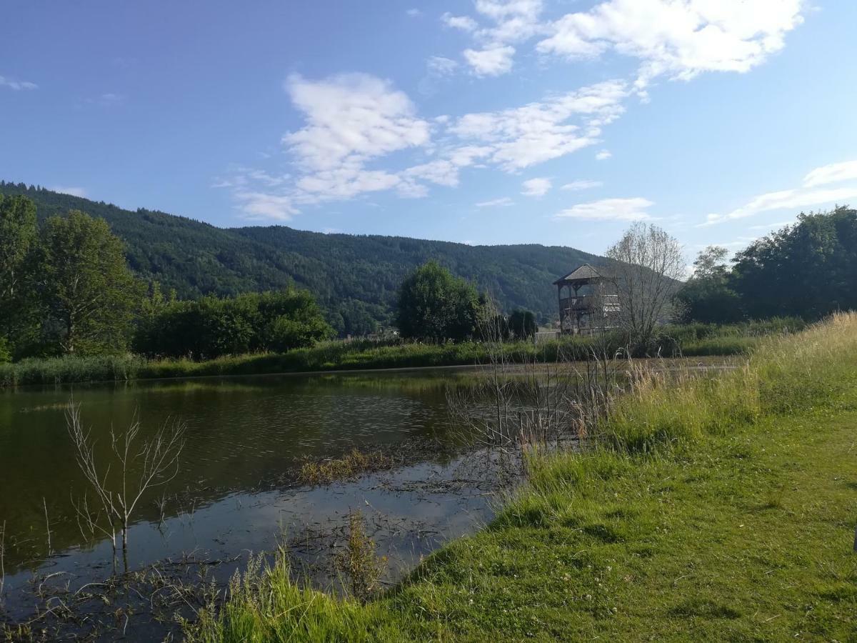 Ferienwohnung Resi Mit Traumhaftem Seepanorama Steindorf am Ossiacher See Ngoại thất bức ảnh